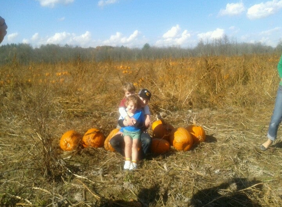 Pine Island Farm - Sheffield, MA