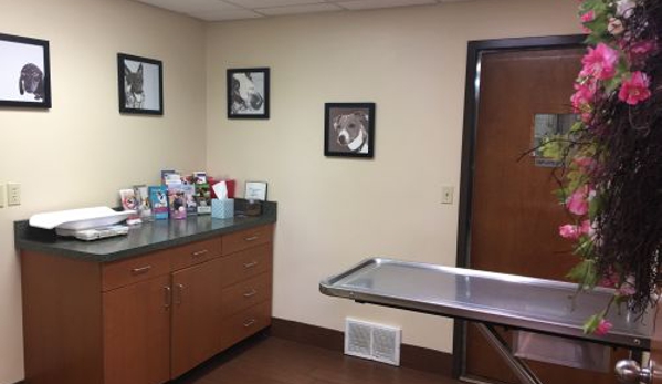 Valley West Veterinary Hospital - Charleston, WV