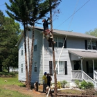 Low Cost Tree Removal & Trim