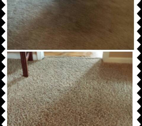 Benchmark Carpet Cleaning