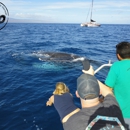 The Magic Merman Snorkel Charters - Boat Tours