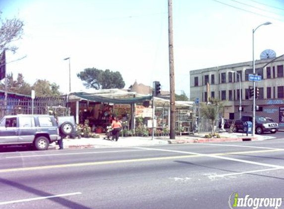 Avalon Nursery & Ceramics - Los Angeles, CA