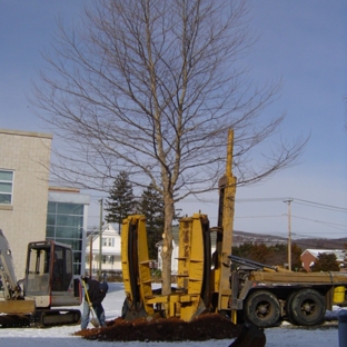 Mountain Tree Service - Somers, CT