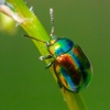 Full Circle Pest Management Inc gallery