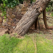 Gallery Image Number 3