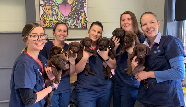 Eastern Shore Veterinary Hospital - Warrane, TAS