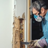 Texas Pest Solutions gallery