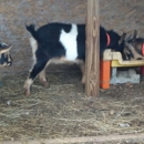 Griffin Feed & Seed
