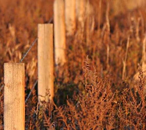 Steed Surveyors & Land Divisions - Murray Bridge, SA