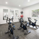 Camden Stoneleigh Apartments
