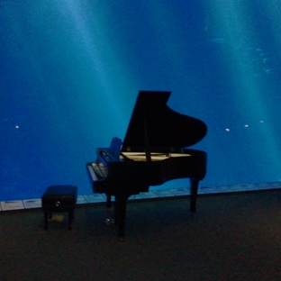 Churchill's Piano Rental Service - Santa Cruz, CA. Kawai Grand piano at the Aquarium in Monterey for Nokia Corporate event