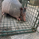 Critter Control