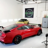 Wet Paint Auto Detailing gallery