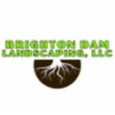 Brighton Dam Landscaping - Firewood