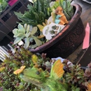 Western Garden Center - Garden Centers