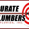 Accurate Plumbers Of Florida gallery
