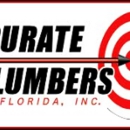 Accurate Plumbers Of Florida - Plumbing, Drains & Sewer Consultants
