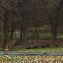 Chagrin River Park - Parks