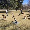 Dog Training Elite Salt Lake City - Dog Training