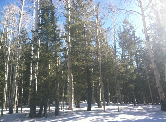 Arizona Snowbowl - Flagstaff, AZ