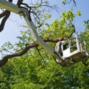 Mitchells Tree Service - Tree Service