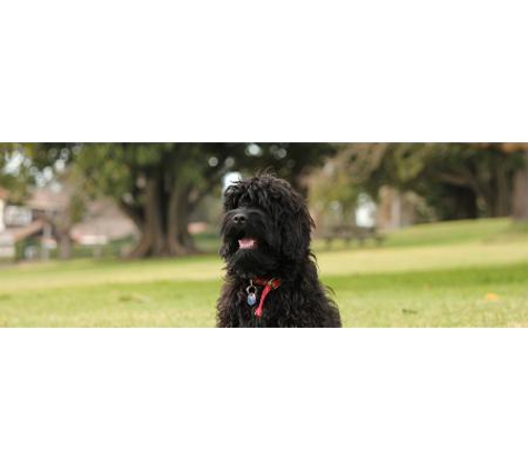 Stawell Veterinary Clinic - Stawell, VIC