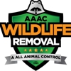 AAAC WILDLIFE REMOVAL gallery