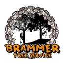 Brammer Tree Service and Stump Removal - Tree Service