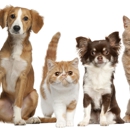 D'Iberville Veterinary Hospital - Pet Boarding & Kennels