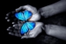Lymphodema and Laser Therapy - Medical Clinics