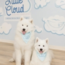 Little Cloud Pediatric Dentistry - Dental Hygienists