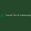 Lincoln Tree & Landscape gallery