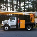 Connecticut Tree Service of Naugatuck, LLC - Tree Service