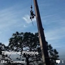 Backridge Tree Service - Stump Removal & Grinding
