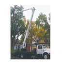 Four Seasons Tree Service - Arborists