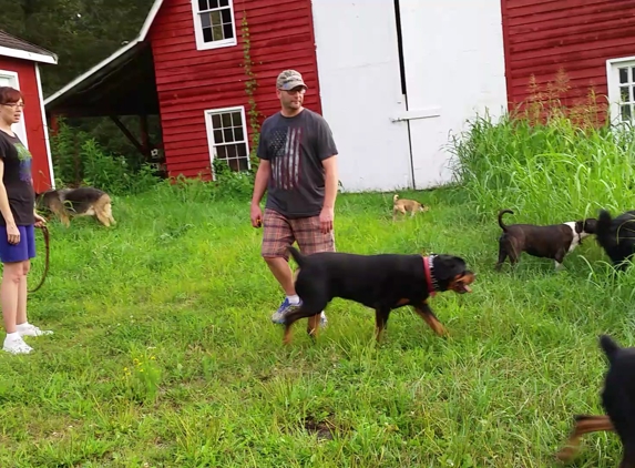 Breakthrough K9 Training - Mechanicsville, VA