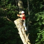 Penn West Tree Service