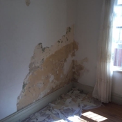 Gallery Image Number 6