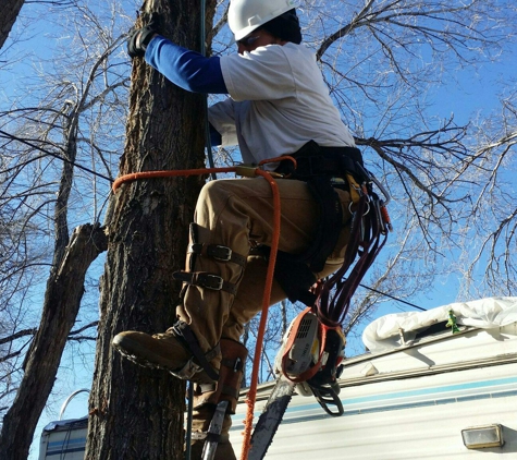 Perfect Ascent - Carson City, NV