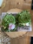 La Sicilia Italian Bakery & Cafe - Bakeries