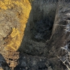 Rocky Ground gallery