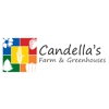 Candella's Farm & Greenhouses gallery