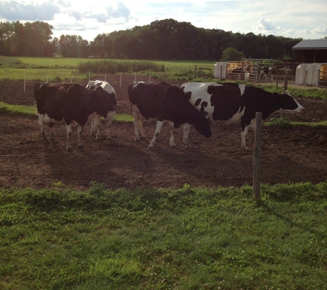 Cook Farm - Hadley, MA