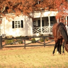 Rolling Acres Farm