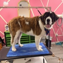 Woofalicious Grooming Studio - Pet Services