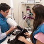Pets & Vets Animal Clinic