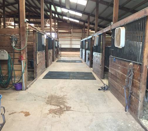 Curvet Equestrian Sports - Washington, OK