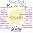 Scentsy Consultant - Home Decor