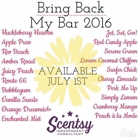 Scentsy Consultant