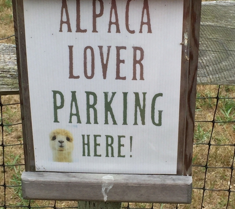 Island Alpaca Co - Vineyard Haven, MA